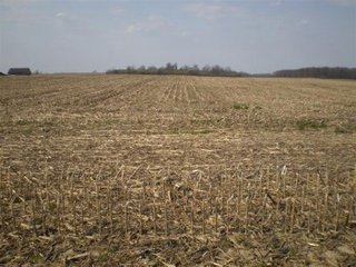 Intensive Grain Crop Farm.  276 acres.  Very productive farm.  Has excellent natural drainage.  Owners have signed lease for wind power development.
Possession is at closing.
High School - Monroe Central High School
Electric Source - AEP  - 276 Acre Intensive Grain Crop Farm